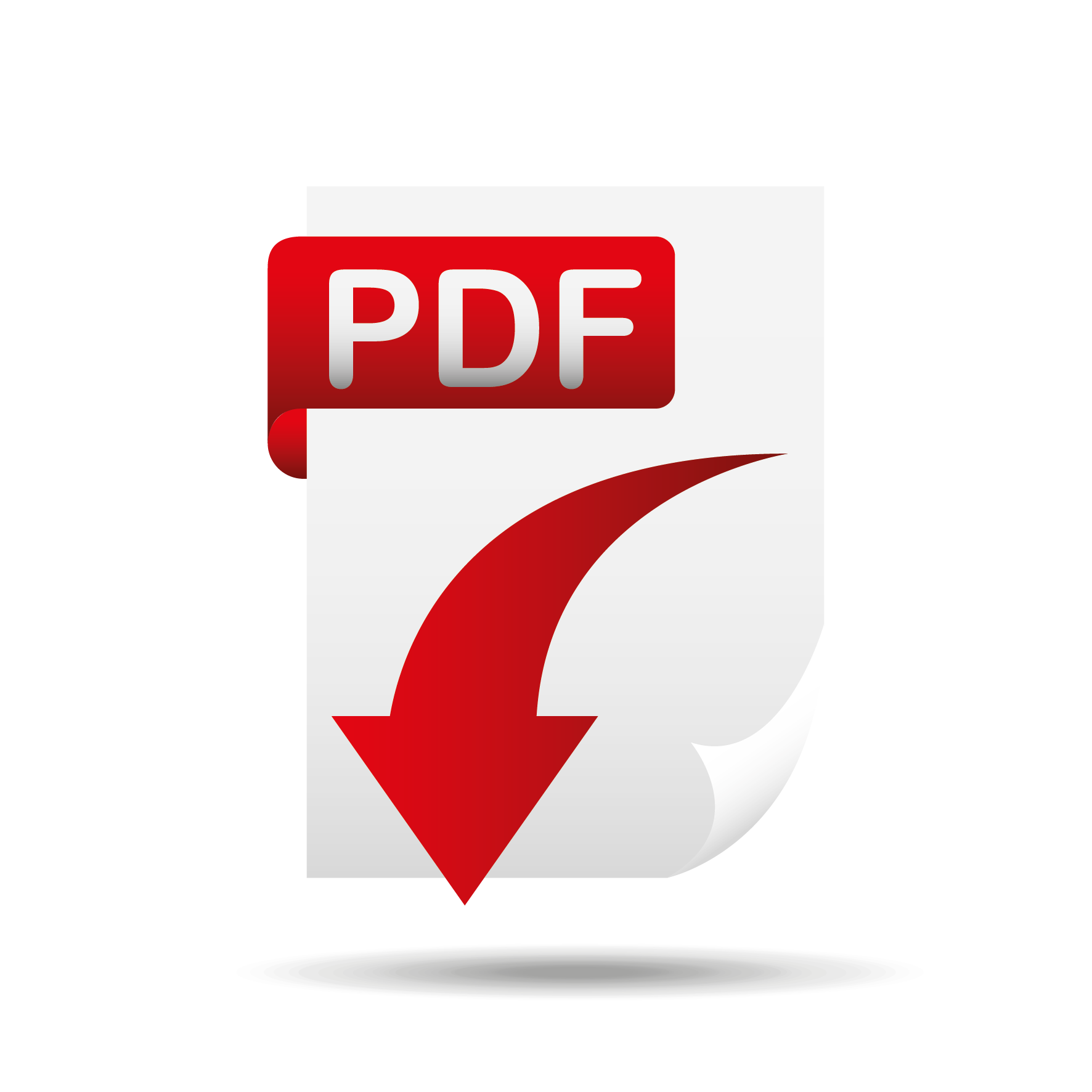 Curriculum EmpresarialV PDF